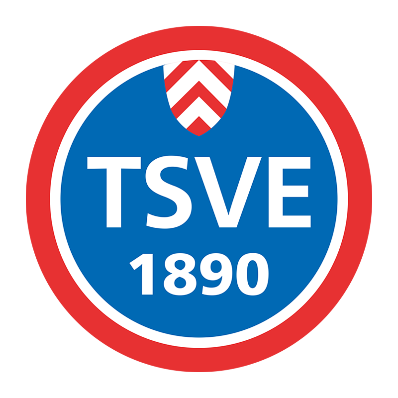 TSVE_Logo